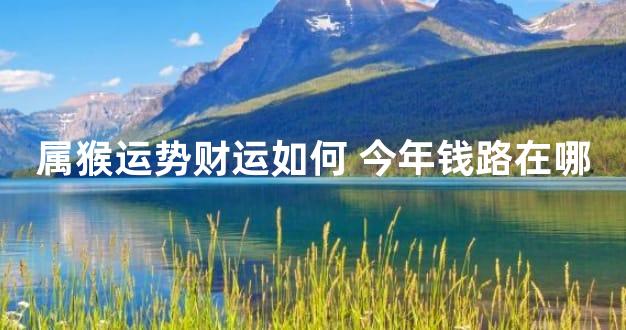 属猴运势财运如何 今年钱路在哪